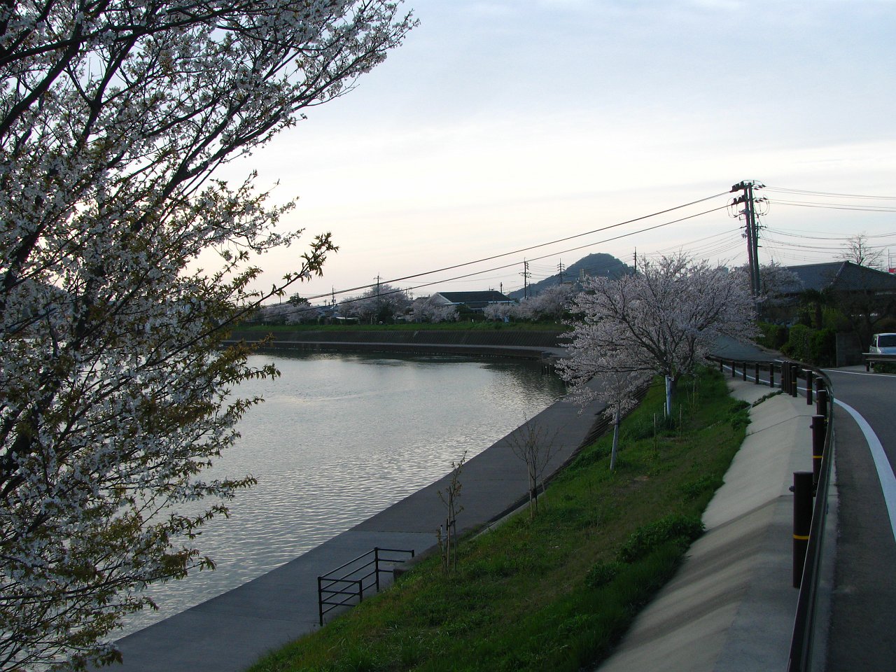 afternoon walk (in hagi).JPG